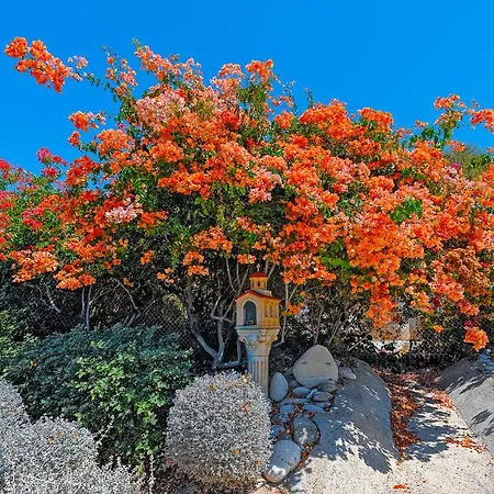 Adamou Gardens דירה *